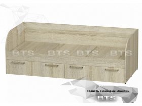 Кровать детская Сенди КР-01 (BTS) в Чанах - chany.mebel-nsk.ru | фото