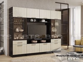 Модульная стенка Фиеста NEW (BTS) в Чанах - chany.mebel-nsk.ru | фото