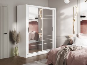 Шкаф-купе Дрим-1 2,0м (белый) в Чанах - chany.mebel-nsk.ru | фото