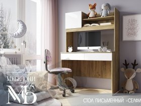 Стол письменный Селфи ПС-05 в Чанах - chany.mebel-nsk.ru | фото